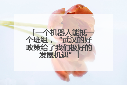 一个机器人能抵一个班组，“武汉的好政策给了我们极好的发展机遇”