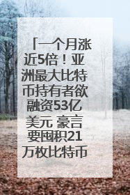 一个月涨近5倍！亚洲最大比特币持有者欲融资53亿美元 豪言要囤积21万枚比特币