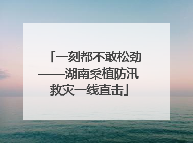 一刻都不敢松劲——湖南桑植防汛救灾一线直击