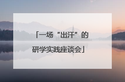 一场“出汗”的研学实践座谈会
