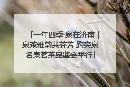 一年四季·泉在济南｜泉茶雅韵共芬芳 趵突泉名泉茗茶品鉴会举行