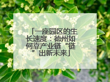 一座园区的生长速度：德州如何靠产业链“链”出新未来