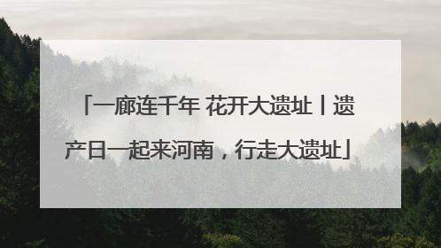 一廊连千年 花开大遗址丨遗产日一起来河南，行走大遗址