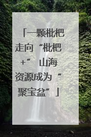 一颗枇杷走向“枇杷+” 山海资源成为“聚宝盆”