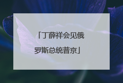 丁薛祥会见俄罗斯总统普京