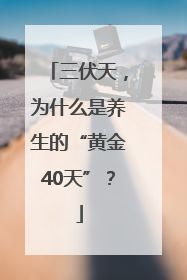 三伏天，为什么是养生的“黄金40天”？