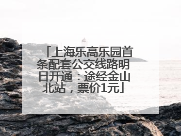 上海乐高乐园首条配套公交线路明日开通：途经金山北站，票价1元