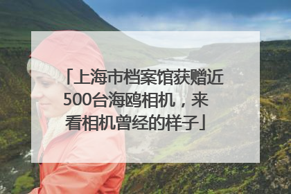 上海市档案馆获赠近500台海鸥相机，来看相机曾经的样子