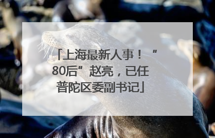 上海最新人事！“80后”赵亮，已任普陀区委副书记
