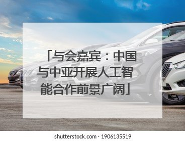 与会嘉宾：中国与中亚开展人工智能合作前景广阔
