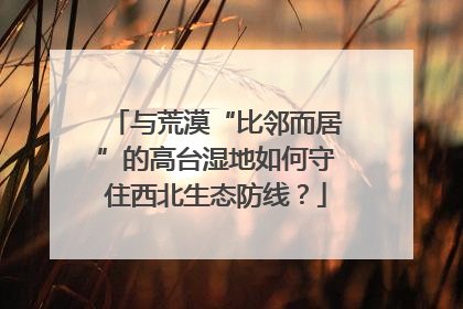 与荒漠“比邻而居”的高台湿地如何守住西北生态防线？