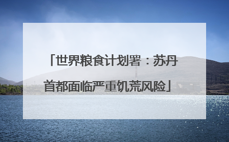 世界粮食计划署：苏丹首都面临严重饥荒风险