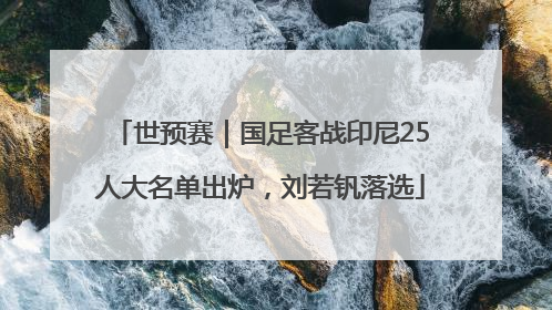 世预赛｜国足客战印尼25人大名单出炉，刘若钒落选