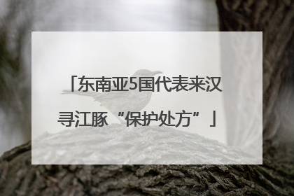 东南亚5国代表来汉寻江豚“保护处方”