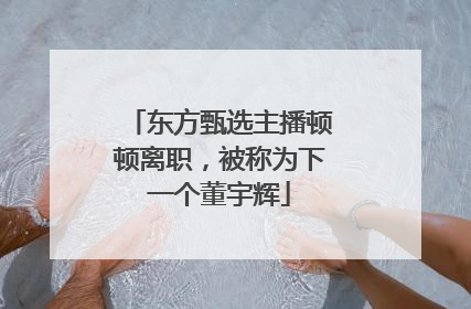 东方甄选主播顿顿离职，被称为下一个董宇辉