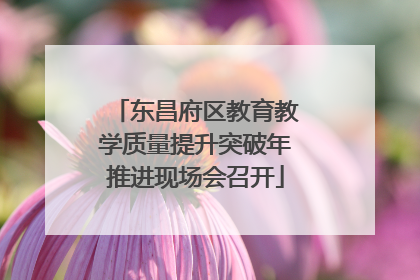 东昌府区教育教学质量提升突破年推进现场会召开