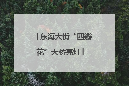 东海大街“四瓣花”天桥亮灯