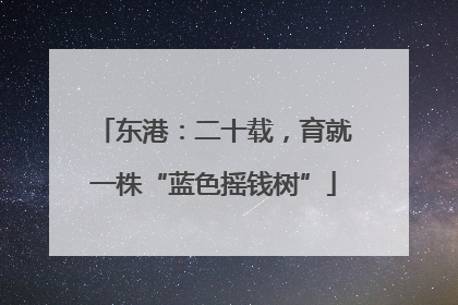 东港：二十载，育就一株“蓝色摇钱树”