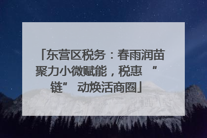 东营区税务：春雨润苗聚力小微赋能，税惠 “链” 动焕活商圈