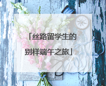 丝路留学生的别样端午之旅