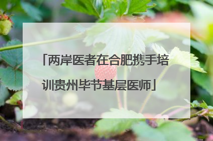 两岸医者在合肥携手培训贵州毕节基层医师