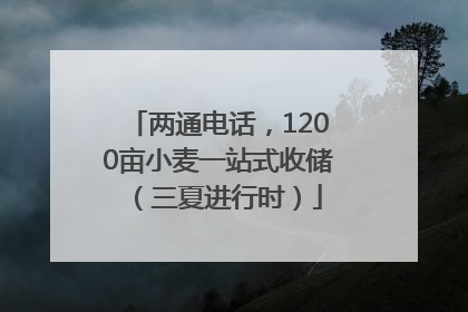 两通电话，1200亩小麦一站式收储（三夏进行时）