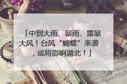 中到大雨、暴雨、雷暴大风！台风“蝴蝶”来袭，或将影响湖北！