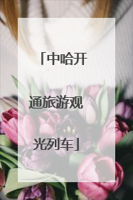 中哈开通旅游观光列车