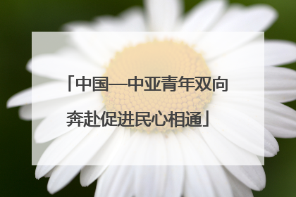 中国—中亚青年双向奔赴促进民心相通