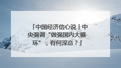 中国经济信心说丨中央强调“做强国内大循环”，有何深意？