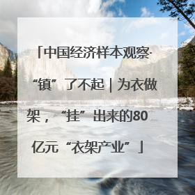 中国经济样本观察·“镇”了不起｜为衣做架，“挂”出来的80亿元“衣架产业”
