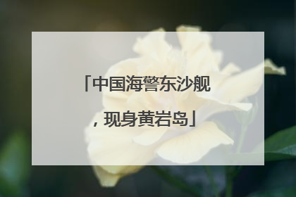 中国海警东沙舰，现身黄岩岛