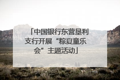 中国银行东营垦利支行开展“粽夏童乐会”主题活动
