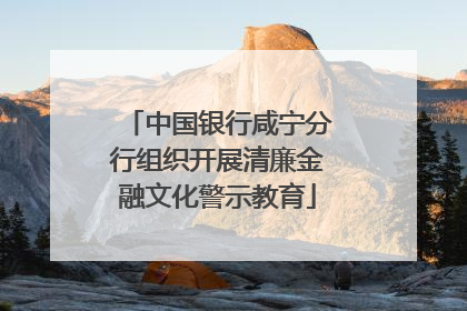 中国银行咸宁分行组织开展清廉金融文化警示教育