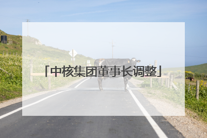 中核集团董事长调整