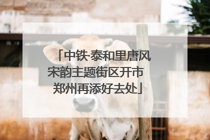 中铁·泰和里唐风宋韵主题街区开市 郑州再添好去处