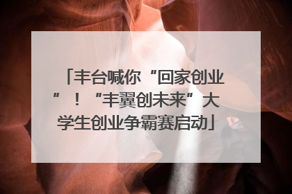 丰台喊你“回家创业”！“丰翼创未来”大学生创业争霸赛启动