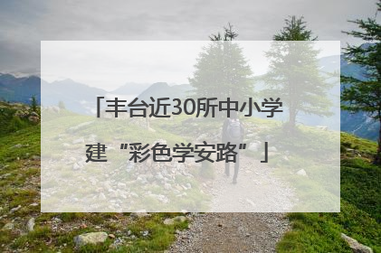 丰台近30所中小学建“彩色学安路”