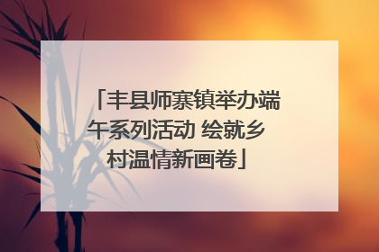 丰县师寨镇举办端午系列活动 绘就乡村温情新画卷