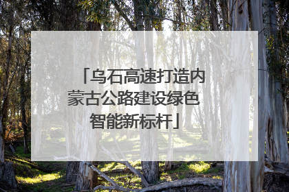 乌石高速打造内蒙古公路建设绿色智能新标杆