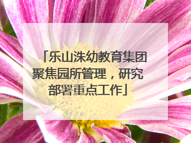 乐山洙幼教育集团聚焦园所管理，研究部署重点工作