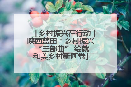 乡村振兴在行动丨陕西蓝田：乡村振兴 “三部曲” 绘就和美乡村新画卷