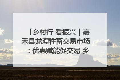 乡村行 看振兴｜嘉禾县龙潭牲畜交易市场：优惠赋能促交易 乡村振兴添动能