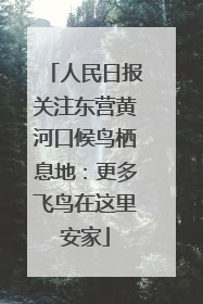 人民日报关注东营黄河口候鸟栖息地：更多飞鸟在这里安家