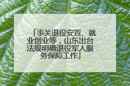事关退役安置、就业创业等，山东出台法规明确退役军人服务保障工作