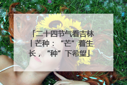 二十四节气看吉林丨芒种：“芒”着生长，“种”下希望