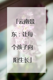 云南景东：让每个孩子向阳生长