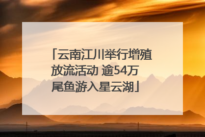 云南江川举行增殖放流活动 逾54万尾鱼游入星云湖