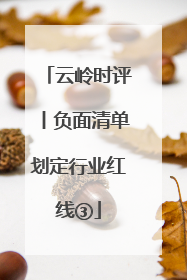 云岭时评丨负面清单划定行业红线③
