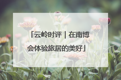 云岭时评｜在南博会体验旅居的美好